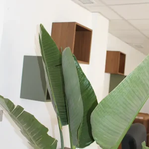 coworking-fuengirola jk workhub7 copia